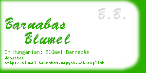 barnabas blumel business card