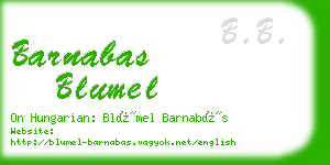 barnabas blumel business card